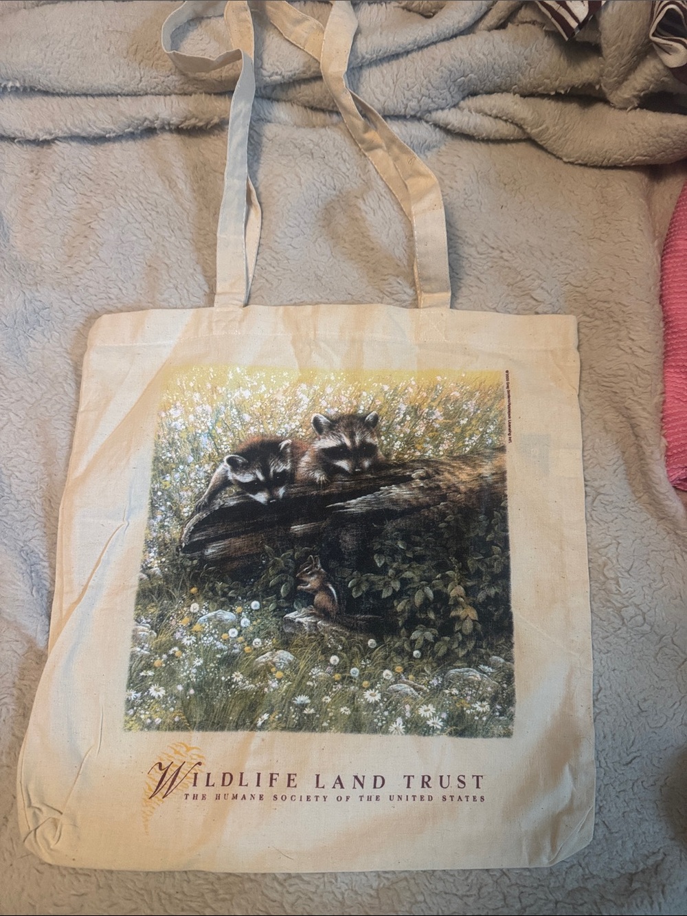 Wildlife Land Trust Canvas Tote Bag with Raccoon Art - Cream Raccoon Squirrel
